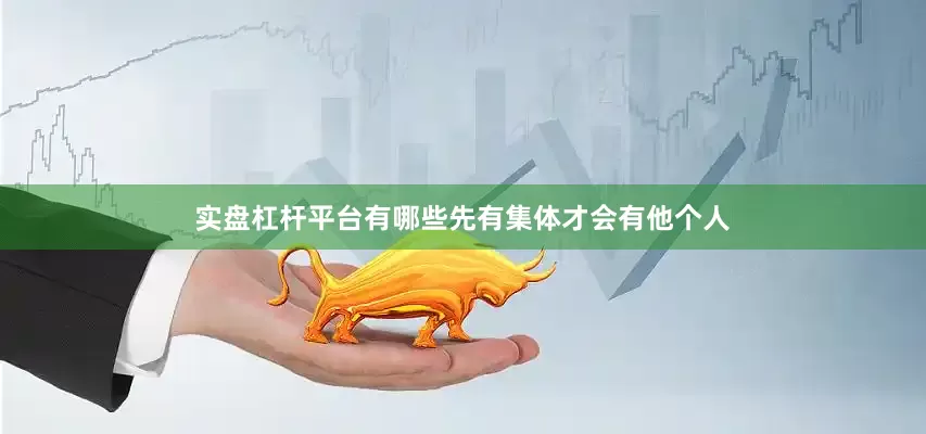 实盘杠杆平台有哪些先有集体才会有他个人